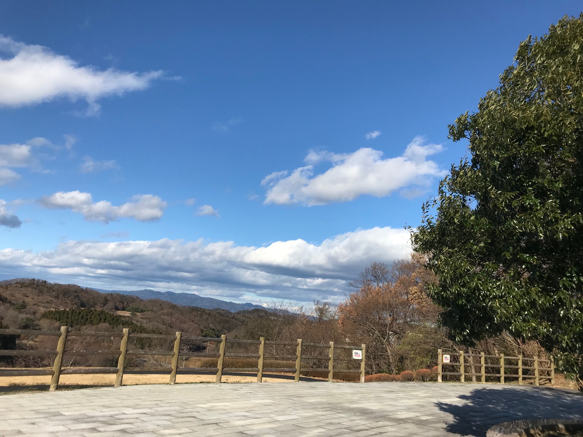 本日のチラシ配布