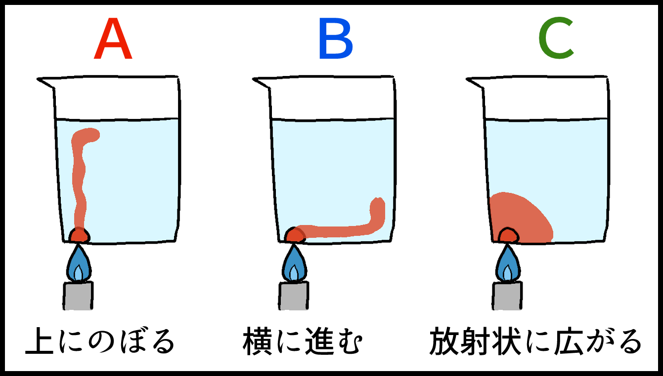 小学５年生より賢い？